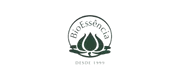2A.png